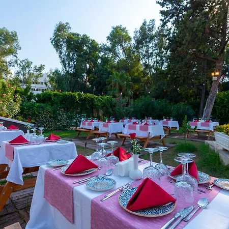 Amara Family 5* シダ