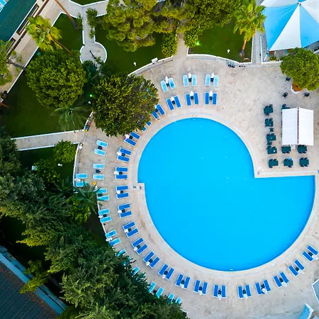 Amara Family 5* シダ